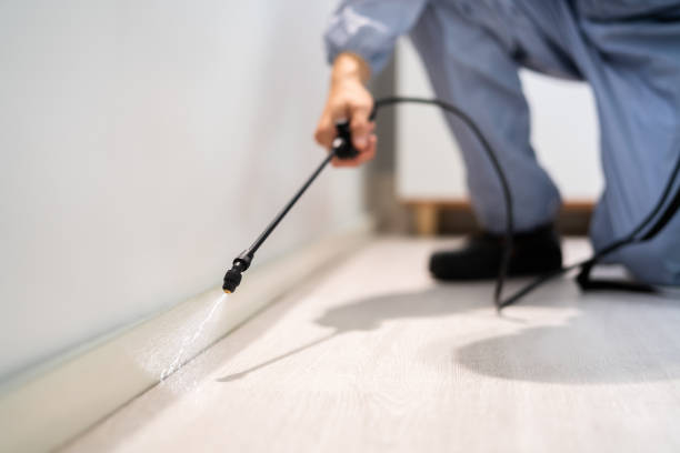 Licensed Termite Control service in Fisher, IL - Nex Pest Control