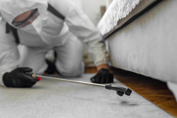Professional Termite Control technician working in Fisher, IL