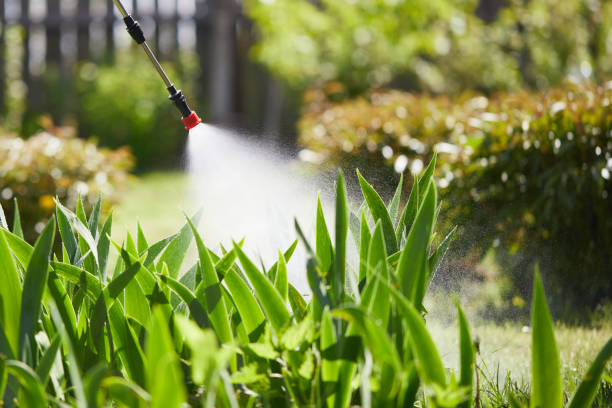 24/7 Emergency Termite Control experts in Fisher, IL