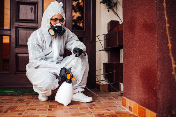 Reliable Termite Control contractor in Fisher, IL by Nex Pest Control