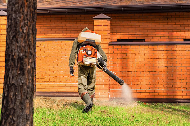 Top rated local Termite Control specialists in Fisher, IL
